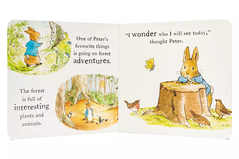 The World of Peter Rabbit: Board Book Collection Box Set (Beatrix Potter)-Children’s picture books-買書書 BuyBookBook