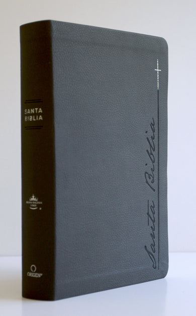 Biblia RVR 1960 Letra gigante, símil piel, gris (Edición cantos pintados) / Spanish Bible RVR 1960 Giant Print Handy Size Leathersoft Gray with cross interior 2 (ISBN 9798890982216) [onix:91fe4867e997975ee264291f43e82790]