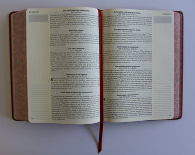 Biblia de Apuntes RVR 1960 Tapa dura, Vino tinto (Edición cantos pintados) / Spanish Journalling Bible RVR 1960 Hardcover Burgundy interior 2 (ISBN 9798890982247) [onix:133e88a6a8c0a421cf35c4778d2f6ad0]