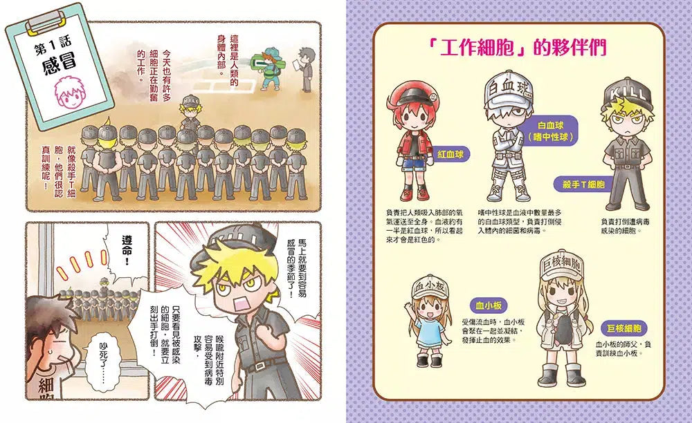 繪本工作細胞 #05 同心抗敵! 感冒與皮下血腫 (附首刷限量剛柔兼備巨噬細胞吊飾立牌兩用壓克力)-非故事: 常識通識 General Knowledge-買書書 BuyBookBook