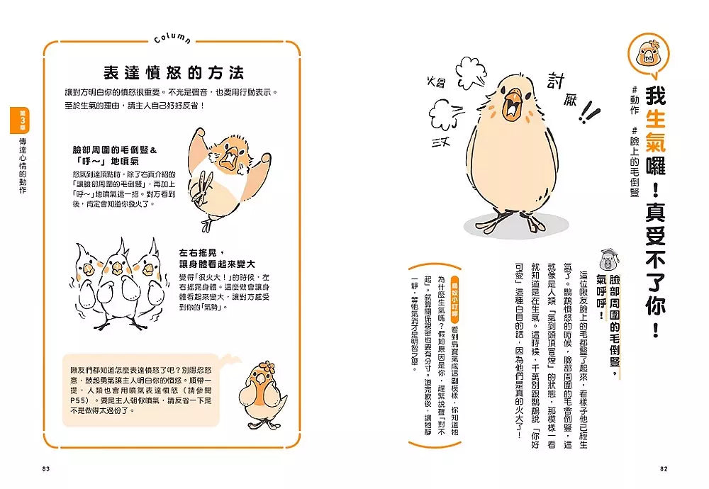 當然問鸚鵡才清楚！最誠實的鸚鵡行為百科【超萌圖解】：日本寵物鳥專家全面解析從習性、溝通到身體祕密的130篇啾啾真心話（二版）