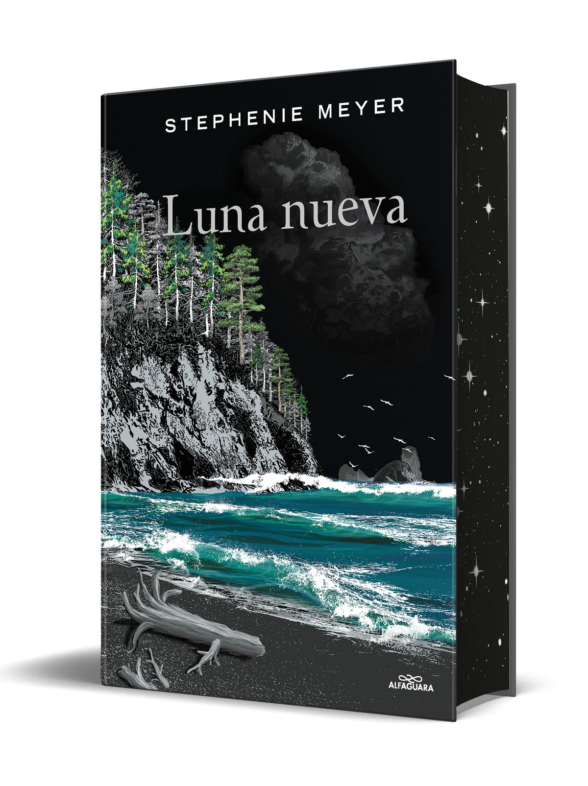 Estuche Saga Crepúsculo (contiene: Crepúsculo, Luna nueva, Eclipse y Amanecer) / Twilight Saga Box Set interior 1 (ISBN 9788420453651) [onix:237a07c2ec227dd39d8c0e8f05862948]