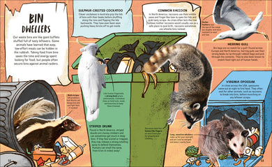 Wildlife Cities interior 1 (ISBN 9780241835371) [onix-asset:273b2d7a756f615cca1f507f2a7fe24a5975afa12c583643759998485d75dceb]