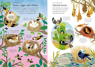 Little First Stickers Birds interior 1 (ISBN 9781805312352) [onix-asset:15a21b0b675ee9f0f13a58836fabbb6d7370773faf35b9b9baa3310b80383a25]