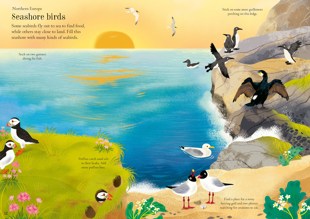 Little First Stickers Birds interior 1 (ISBN 9781805312352) [onix-asset:69c20c8e9182038f1f15ba01e25859c8b3e1d2a34e4b75187840f358f8ed42cb]
