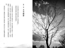 正念擁抱大地：當我們觀想自己為一棵樹…-非故事: 心理勵志 Self-help-買書書 BuyBookBook