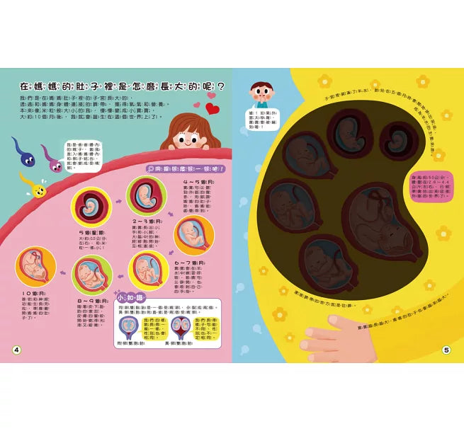 探照燈找一找：透視身體大解密