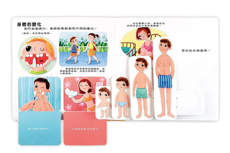 幼兒性教育啟蒙互動遊戲書：男生女生不一樣-非故事: 學前基礎 Preschool Basics-買書書 BuyBookBook
