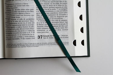 La Biblia Católica: Edición letra grande, HC, verde con índice, Virgen de Guadalupe en la cubierta / Catholic Bible. HC, Green, index, with Viigin of Guadalu interior 3 (ISBN 9798890982186) [onix:cd408682cd1df71d4d6bda4234396e23]