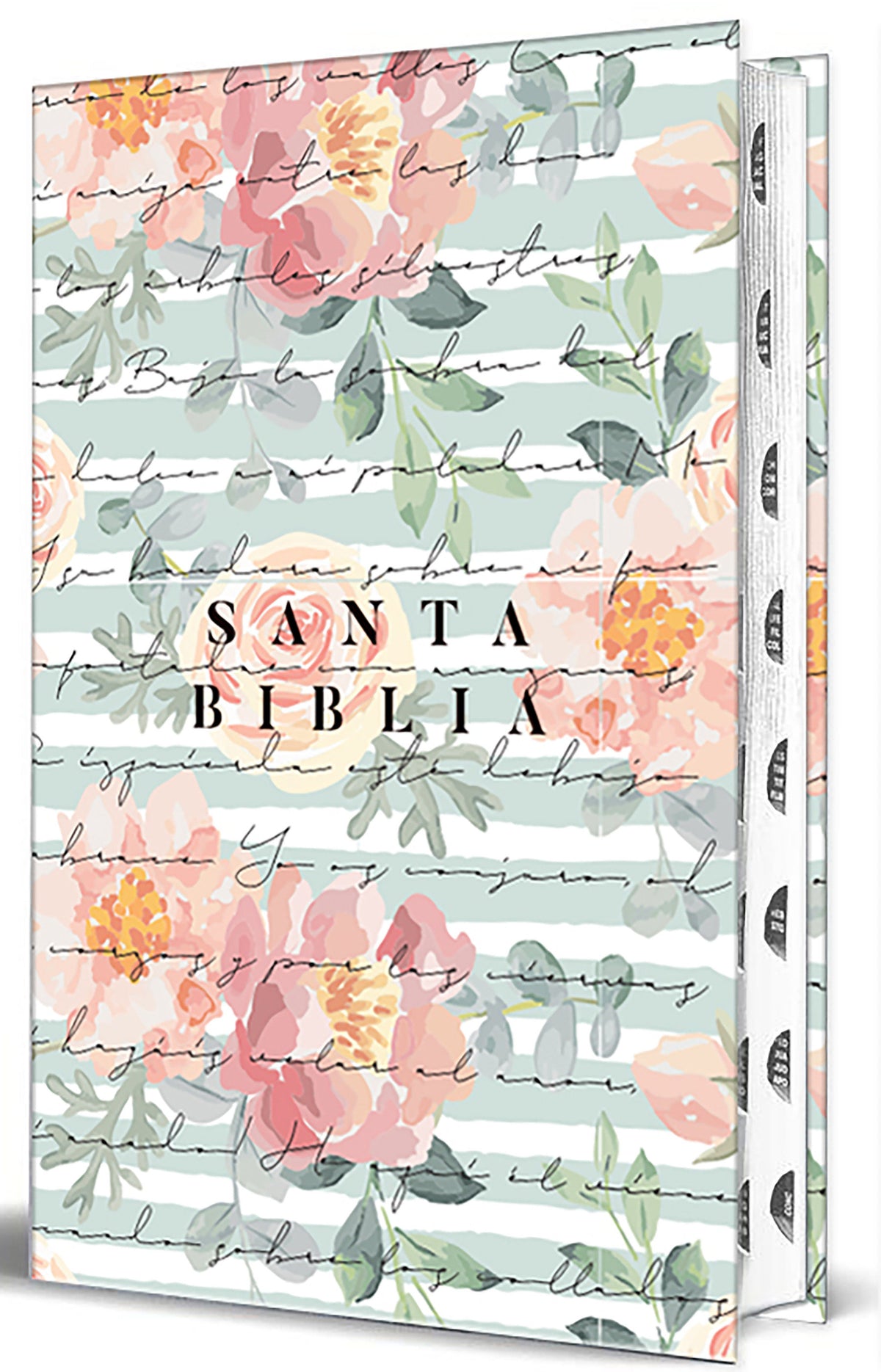 Biblia Reina Valera 1960 letra grande, tamaño manual con índice, tapa dura rosas rosadas / Spanish Bible RVR 1960 Handy Size Large Print HC with Thumb Index cover (ISBN 9798890985583) [onix:3f70a9d8108894c745cb0235bb025f56]