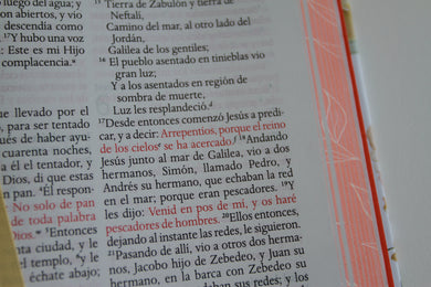Biblia RVR 1960 letra grande tamaño manual, HC, flores rosadas y cantos pintados / Spanish Bible RVR 1960 Handy Size Large Print with flowers and sprayed edge interior 4 (ISBN 9798890982162) [onix:7933d2dc1877681ad60d46f06792fa4d]