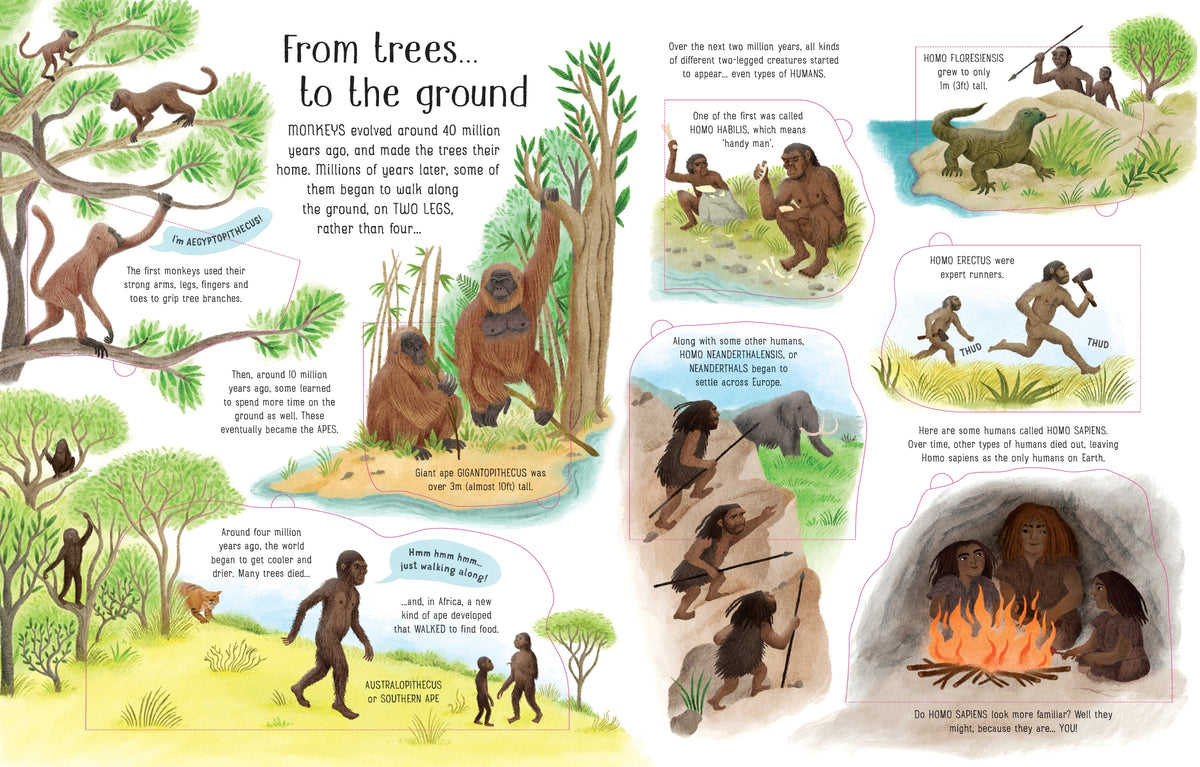 See Inside Evolution interior 1 (ISBN 9781474952798) [onix-asset:a9b59bed17c22902d1ae896a538755ad118619d2f918a34301ea2b357ac858df]