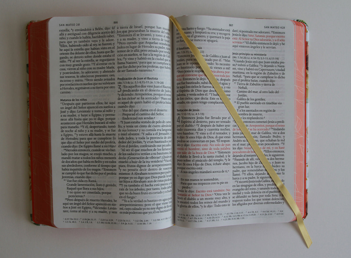 Biblia RVR 1960 letra grande tamaño manual, HC, flores rosadas y cantos pintados / Spanish Bible RVR 1960 Handy Size Large Print with flowers and sprayed edge interior 3 (ISBN 9798890982162) [onix:f05c7b1386d6afd64cf9fd17ac54262d]