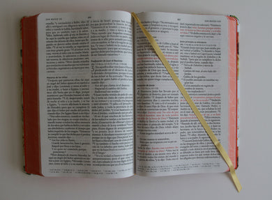 Biblia RVR 1960 letra grande tamaño manual, HC, flores rosadas y cantos pintados / Spanish Bible RVR 1960 Handy Size Large Print with flowers and sprayed edge interior 3 (ISBN 9798890982162) [onix:f05c7b1386d6afd64cf9fd17ac54262d]