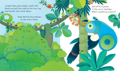 Peep Inside the Jungle interior 1 (ISBN 9781409599159) [onix-asset:118a528d4058ef04308799a2a15048fc89b2978c00aa0f3df3632457fe7f015d]