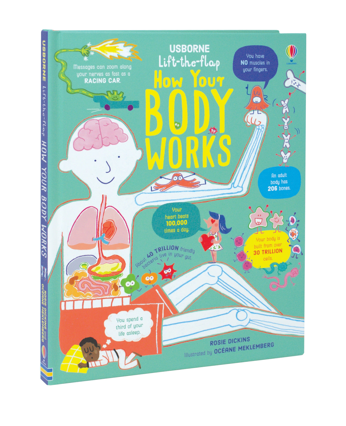 Lift-the-Flap How Your Body Works interior 1 (ISBN 9781474950732) [onix-asset:c2f513f500cab65a708b7e3677d8c8a3dd437f8d41d926f22fe285ad6bb0a136]