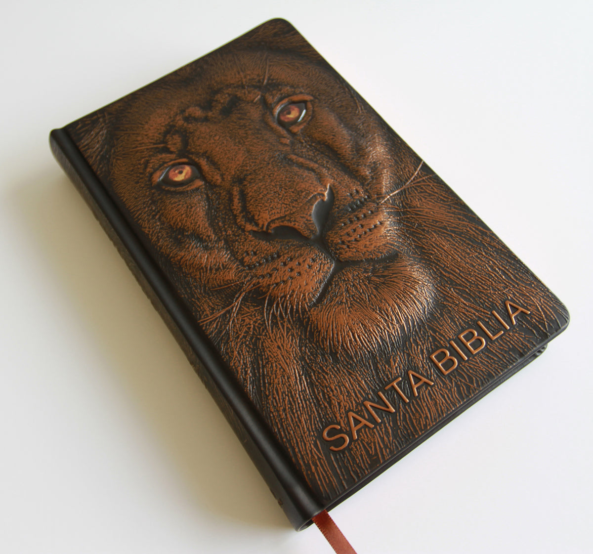 Biblia RVR 1960 Letra grande León de Judá edición especial bronce / Spanish Bible RVR 1960 Large Print Imitation Leather Lion of Judah Special Edition interior 9 (ISBN 9798890980076) [onix:2c2ba39b07818a3d72ef9e998574698a]