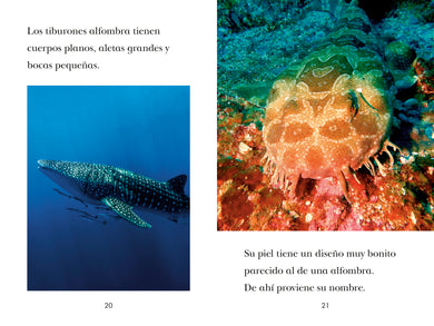 Book image [onix-asset:c5d44aa463f1675c472aebcb77c6b9ce6667606e42753840e43789a96059cf06]