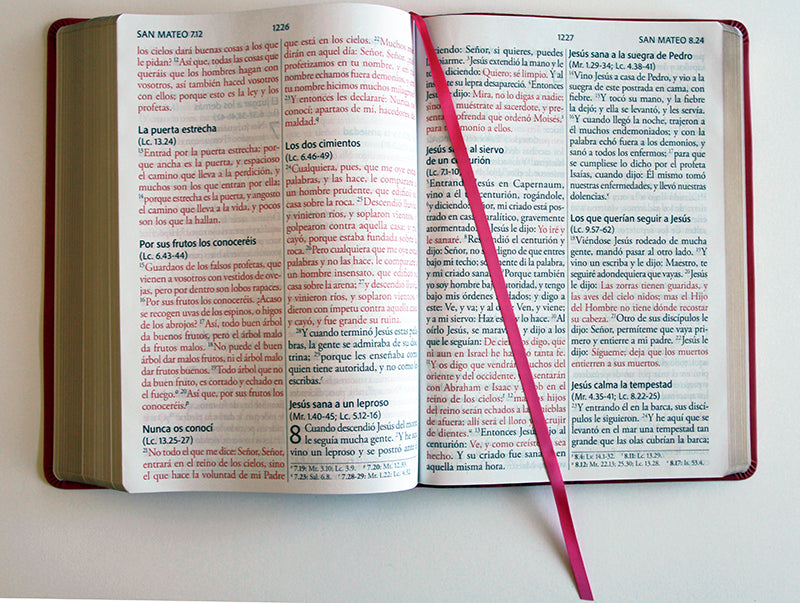 Biblia Reina Valera Revisada 1960 letra súper gigante, símil piel fucsia rosada / Spanish Bible RVR 1960 Super Giant Print, Fuchsia Pink Leathersoft interior 2 (ISBN 9798890980045) [onix:56ab56d00a7d08f4c18ee5d5f6480efb]