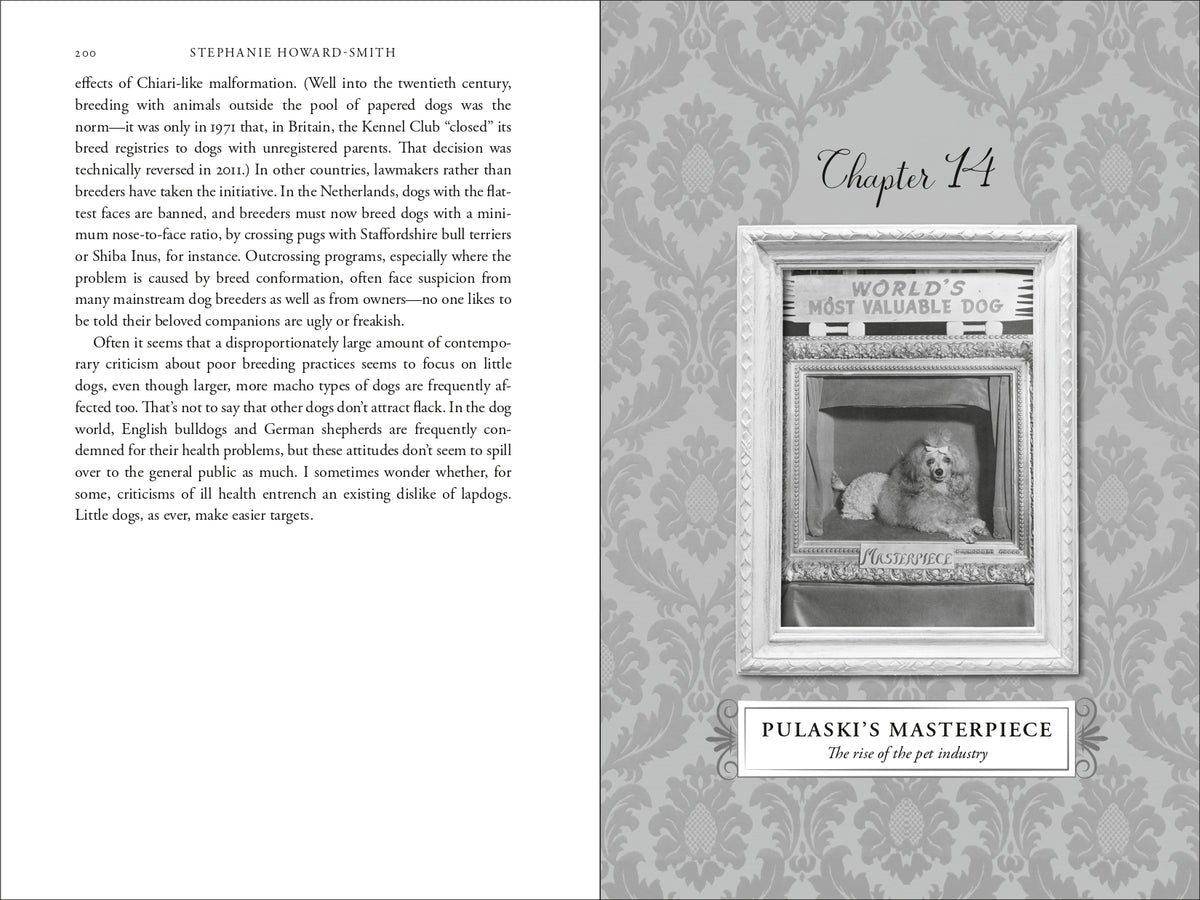 Book interior [onix-asset:d89ea1d36b6218dd3e514c89899bbf56cac3f9ebb4f6784fcfaaf98ae3f4d81e]