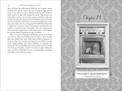 Book interior [onix-asset:d89ea1d36b6218dd3e514c89899bbf56cac3f9ebb4f6784fcfaaf98ae3f4d81e]