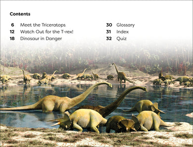 DK Super Readers Level 1 Dinosaur's Day interior 1 (ISBN 9780241589601) [onix-asset:ba61d696581f32324643caac813025c298823de4aeda31af797dbb5f62a021a9]