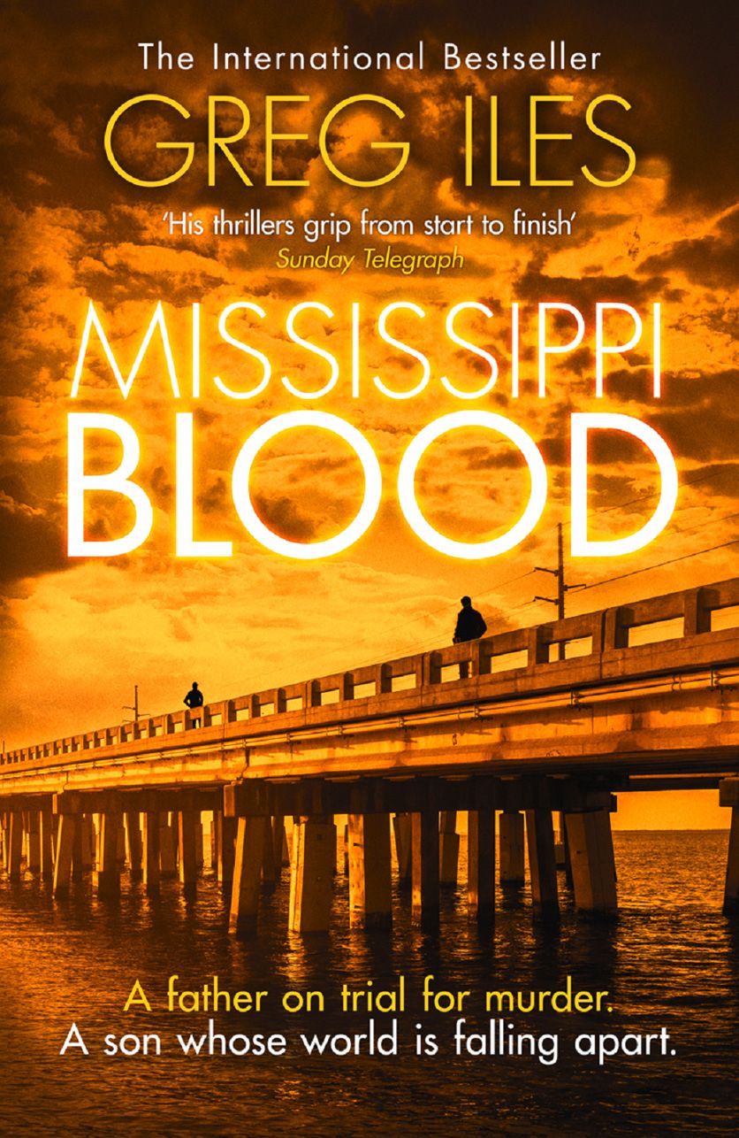Mississippi Blood cover (ISBN 9780007411313) [onix-asset:6b3b2bf88afd3a304f90ad717eb76b6e7e261b98f8f6a5936c9e728a5a2d6bc9]