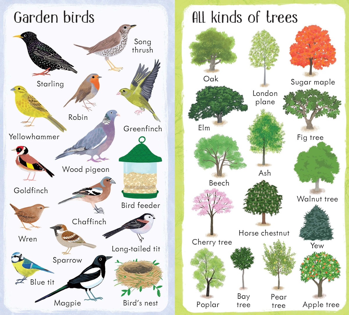 199 Things in the Garden interior 1 (ISBN 9781474936897) [onix-asset:fd5ce1cf8aa6428f7b08315565782e2856a9f76fe8cac1c024ef90a80f558d17]