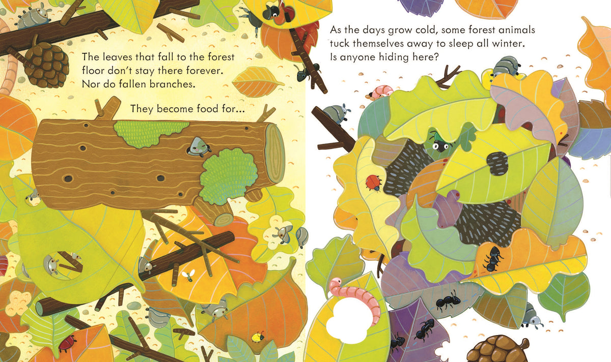 Peep Inside the Forest interior 1 (ISBN 9781474950817) [onix-asset:d5fd3a81191645921aff2fab5ba2b6530e7f27f1a3e056bf3219e275b609f473]