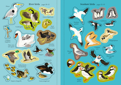 Little First Stickers Birds interior 1 (ISBN 9781805312352) [onix-asset:3682f7ec29c555ed5aa90923e24d177f05cf3612f4576cf1c364bdb3576ef381]