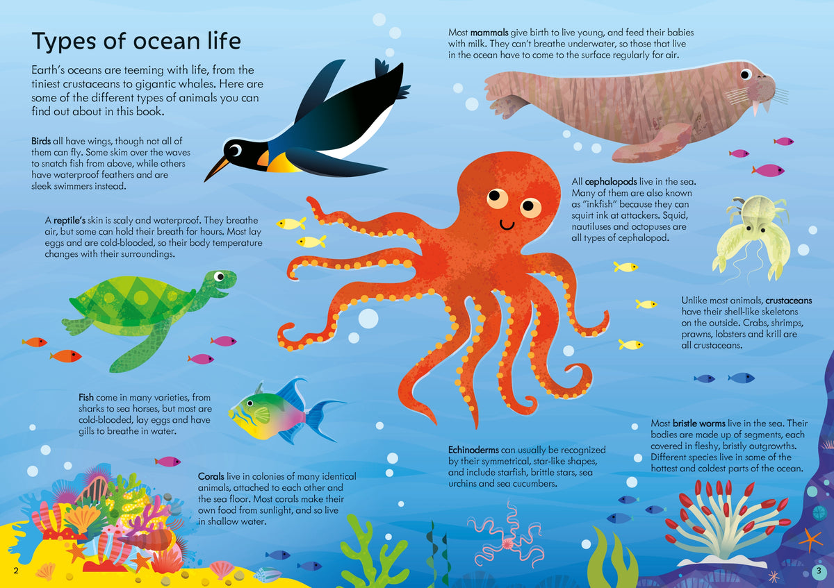 Usborne Book and Jigsaw Oceans interior 1 (ISBN 9781805077954) [onix-asset:7fedf85ec4bcc104da27b928ee7b010af926acbef388d49ee93fd6124ee30cec]