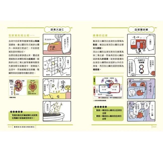 最有梗的科學教室套書 (共3冊) (上谷夫婦)-非故事: 參考百科 Reference & Encyclopedia-買書書 BuyBookBook