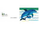 袋鼠也有媽媽嗎？(Eric Carle) (紙板書)