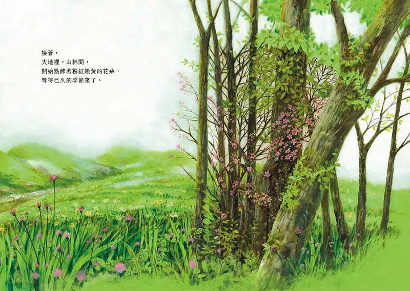 木之繪本：拜訪森林-故事: 兒童繪本 Picture Books-買書書 BuyBookBook