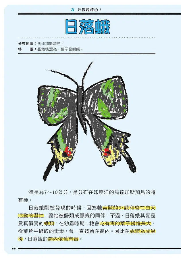 皮諾實驗室 蟲蟲超棒的!超優長相、特質大發現(附贈蟲蟲觀察學習手冊)-非故事: 動物植物 Animal & Plant-買書書 BuyBookBook