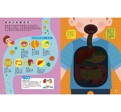 探照燈找一找：透視身體大解密