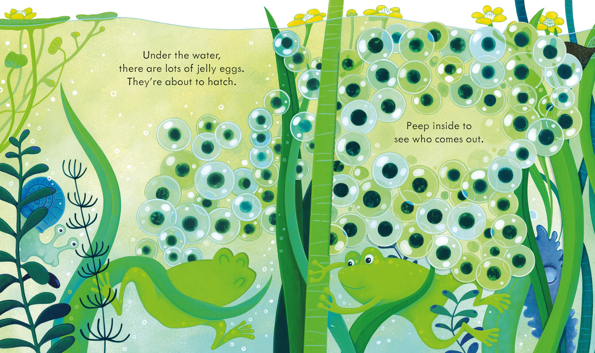 Peep Inside the Pond interior 1 (ISBN 9781803703350) [onix-asset:f24b4ef4ff3207cd8e08bcd74089392771e3ac9b1fc0adbc2ebf74f2809dd07e]