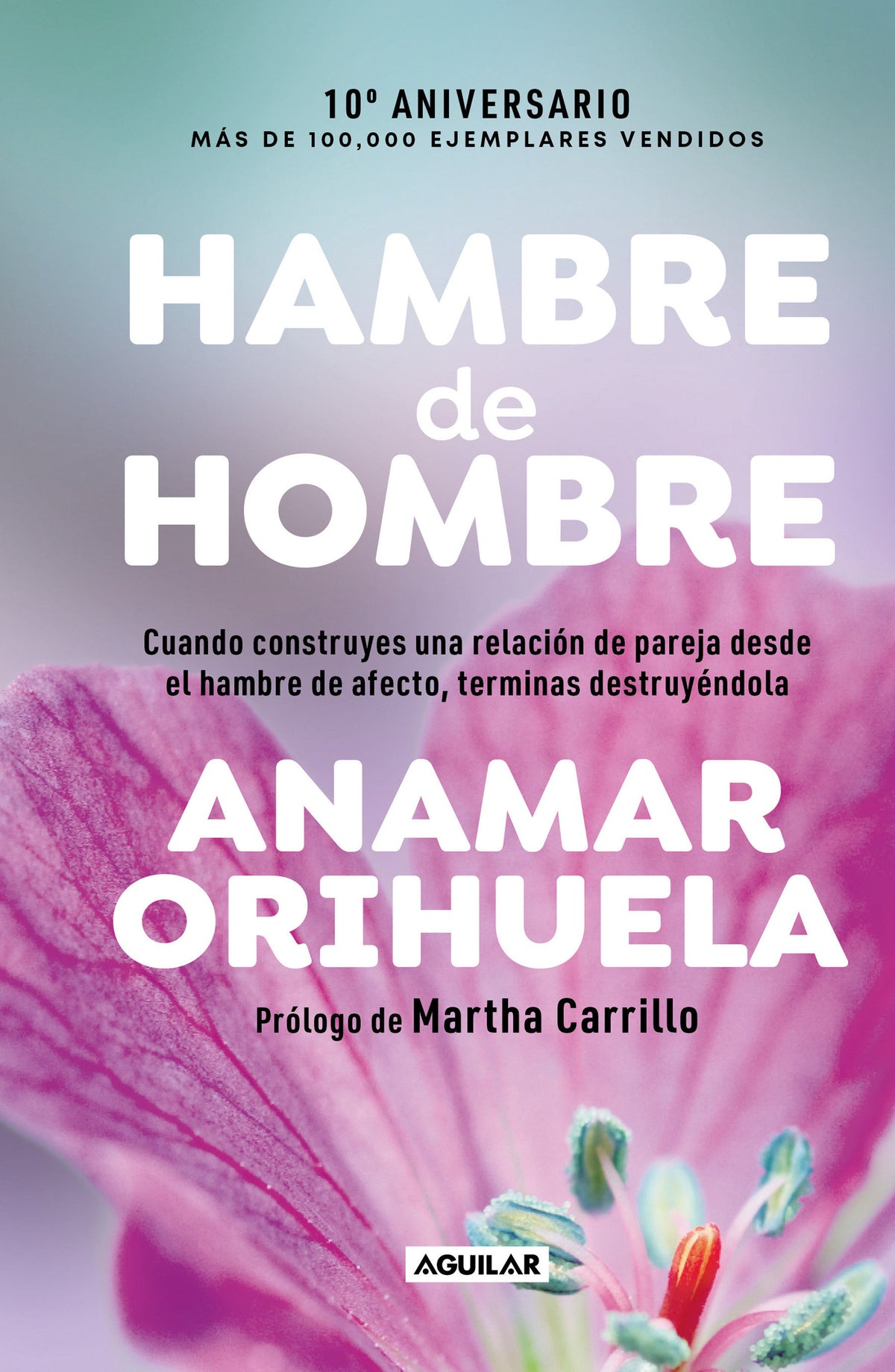 Hambre de hombre Ed. 10° aniversario / Hunger for Men. 10th Anniversary Edition cover (ISBN 9786073848695) [onix:b3470719f0d041d2888f8d731436915e]