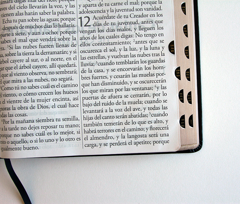 Biblia Reina Valera Revisada 1960 letra súper gigante, símil piel negra con índice / Spanish Bible RVR 1960 Super Giant Print, Black Leathersoft w/ thumb interior 1 (ISBN 9798890980748) [onix:977ce10d6a39c63c88f845d64e92c5b1]