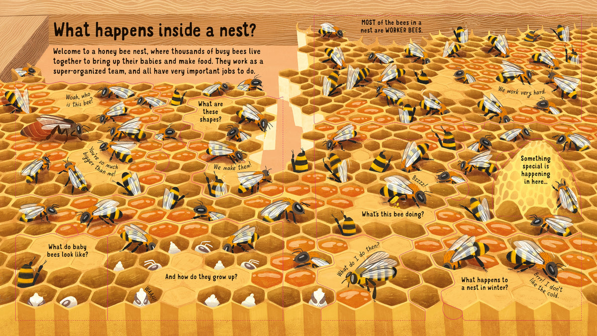 Look Inside the World of Bees interior 1 (ISBN 9781474983198) [onix-asset:6e658f82271899bbc0348562f95709e8901284da0ab47619e7fe812745401a5e]