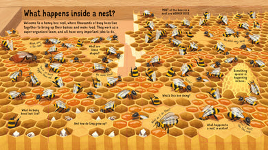 Look Inside the World of Bees interior 1 (ISBN 9781474983198) [onix-asset:6e658f82271899bbc0348562f95709e8901284da0ab47619e7fe812745401a5e]