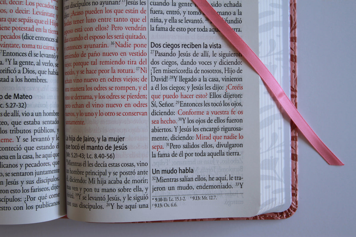 Biblia RVR 1960 Letra gigante, símil piel rosada con flores (Edición cantos pintados / Spanish Bible RVR 1960 Giant Print Handy Size Leathersoft Pink floral interior 8 (ISBN 9798890982223) [onix:56eb5acc3a93ea117d1ef882c5910b78]
