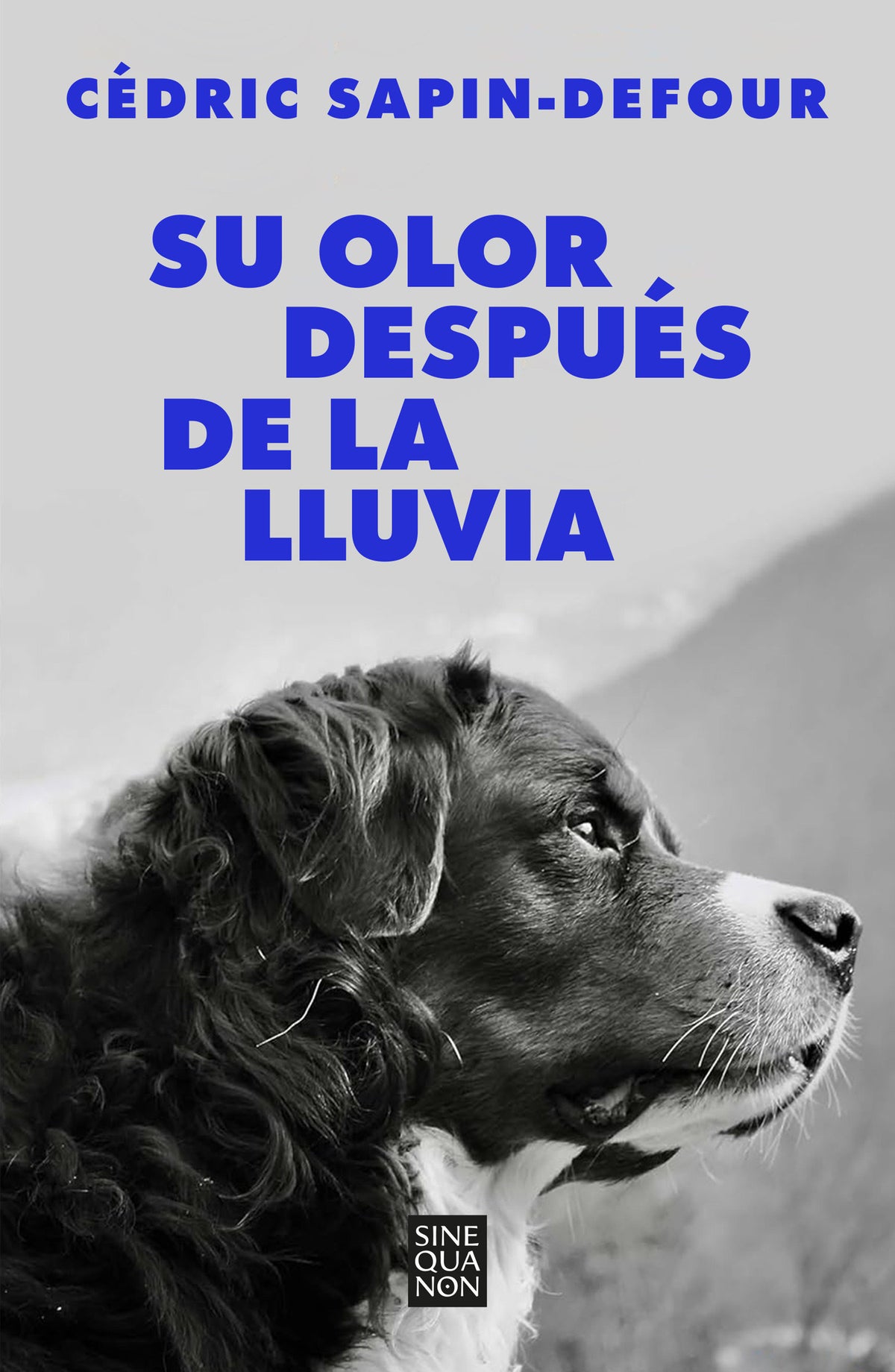 Su olor después de la lluvia / Her Smell After the Rain cover (ISBN 9788466678766) [onix:17c9bceb4321e7ee5b44ecd90c4b3a05]