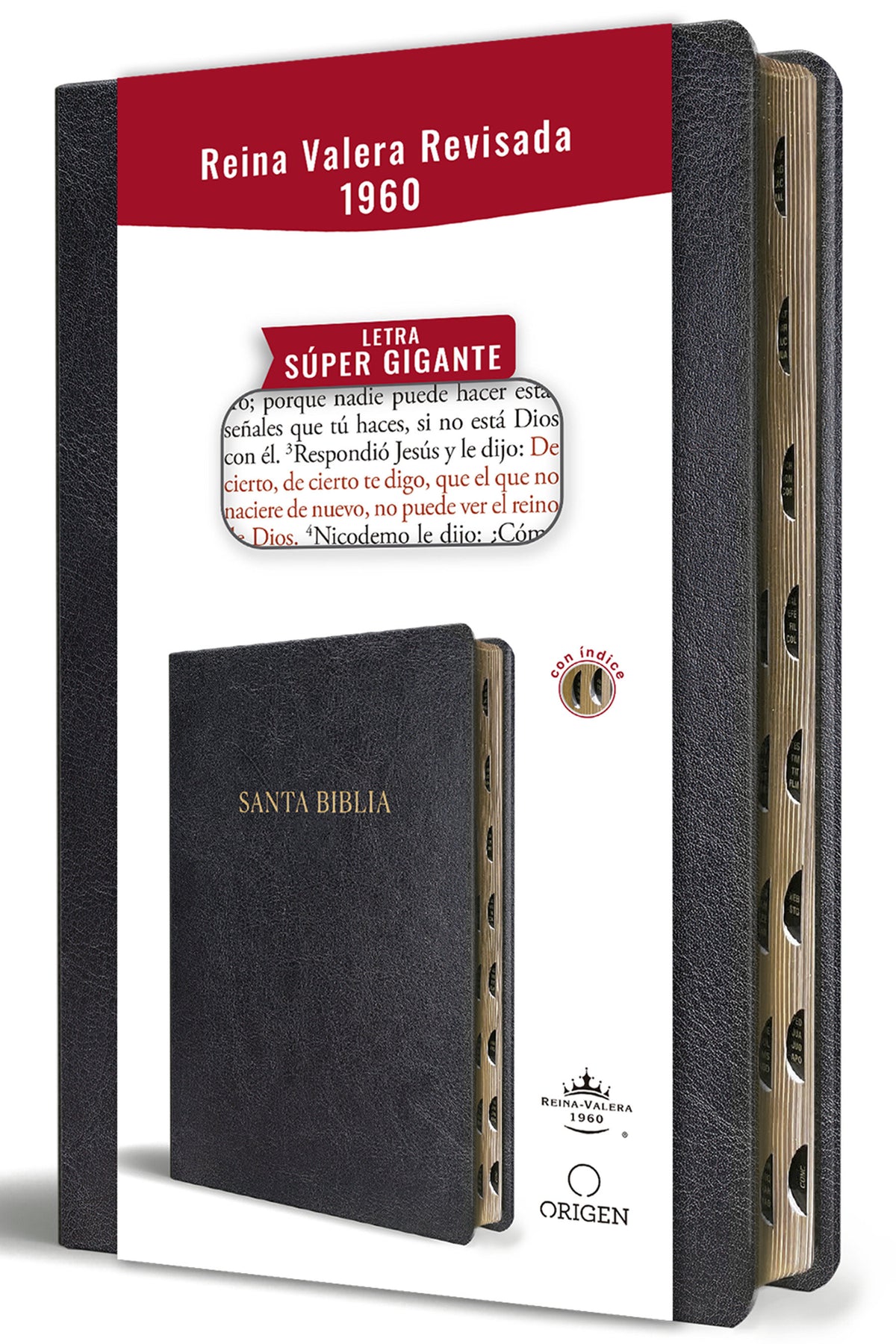 Biblia Reina Valera Revisada 1960 letra súper gigante, símil piel negra con índice / Spanish Bible RVR 1960 Super Giant Print, Black Leathersoft w/ thumb cover (ISBN 9798890980748) [onix:42cc9772fd33d92ead0949eaca016696]