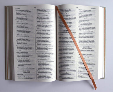 Biblia Católica Biblia de Jerusalén Latinoamericana, tapa dura, edición clásica marrón arena / Spanish Jerusalem Bible, Latin American Edition, Hardcover, interior 4 (ISBN 9798890984265) [onix:2a8580c1738c41c5e98c122fea715af0]