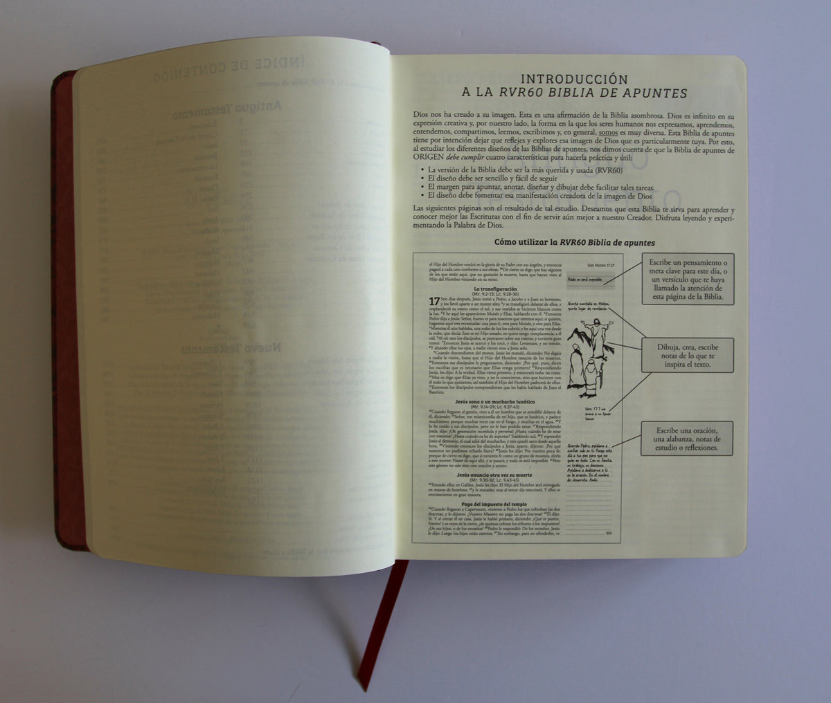 Biblia de Apuntes RVR 1960 Tapa dura, Vino tinto (Edición cantos pintados) / Spanish Journalling Bible RVR 1960 Hardcover Burgundy interior 1 (ISBN 9798890982247) [onix:74302f0d5f90861dad37d6fe48fdfdac]