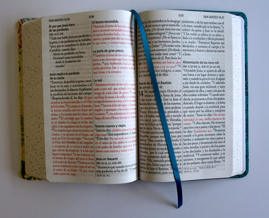 Biblia RVR 1960 Letra gigante, símil azul con Pájaros(Edición cantos pintados) / Spanish Bible RVR 1960 Giant Print Handy Size Leathersoft Light Blue interior 9 (ISBN 9798890982261) [onix:c95a4ff4390f9265e7c5d34a622813b2]
