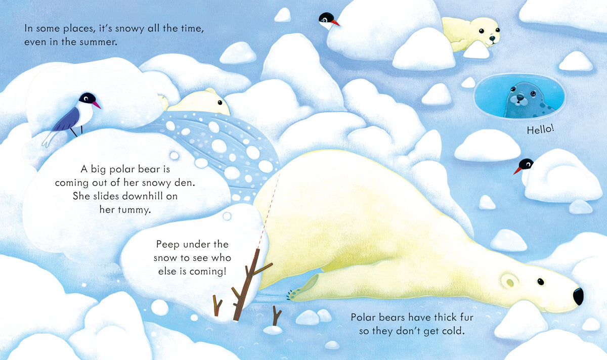 Peep Inside Snowy Places interior 1 (ISBN 9781474983808) [onix-asset:487753b5d105ee8eea89c31b3d95fe0091d451c40a35d915b47e7f10545289d4]