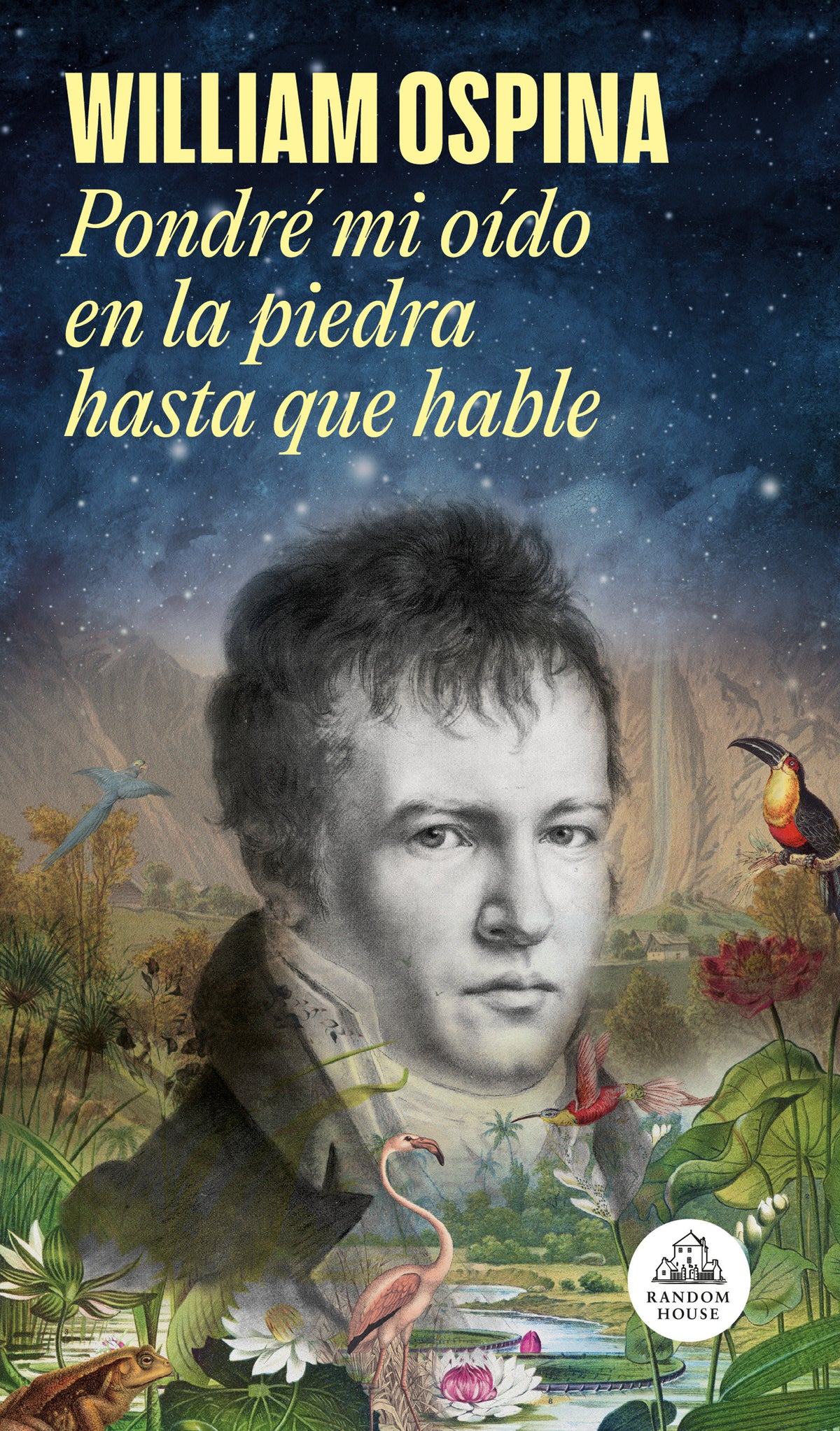 Pondré mi oído en la piedra hasta que hable / I Will Put My Ear on the Stone Until It Speaks cover (ISBN 9788439741831) [onix:3c04008713368b64a6e91136d50646d9]