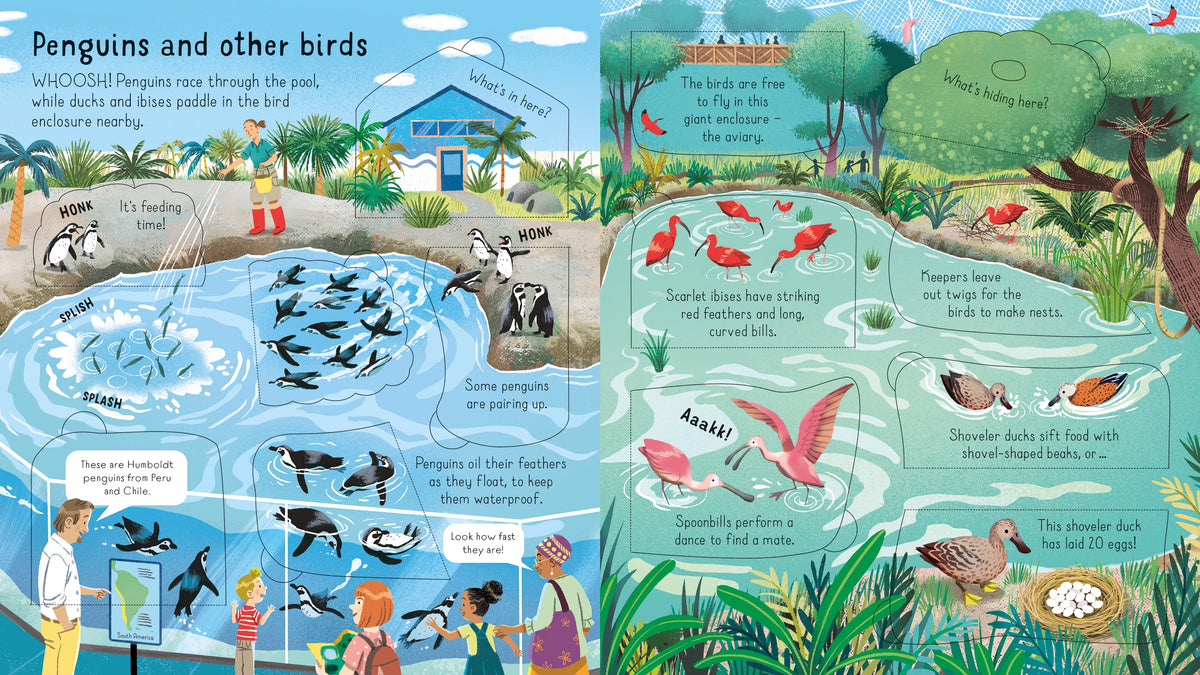 Look Inside a Zoo interior 1 (ISBN 9781803701752) [onix-asset:43eccc917c04bb2381df02d1feb07d3aedd483b2ffe5d45557166b682f142421]